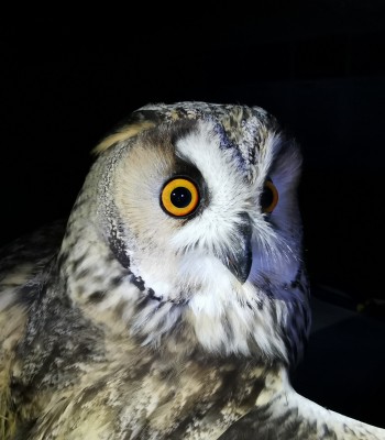 Kursbild