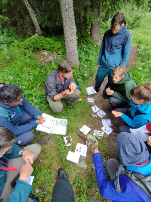 Flechtenbestimmung im Feld