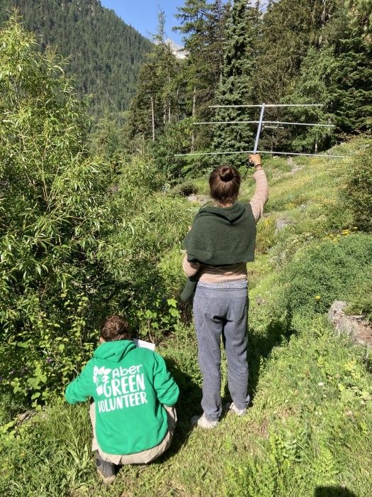 Telemetrieren Fledermäuse